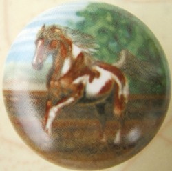 CERAMIC CABINET KNOBS KNOB HORSE PINTO
