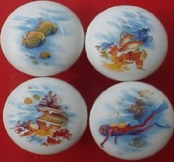 CERAMIC CABINET KNOBS  SEA SHELL SEASHELL SHELL CORAL REEF DIVER available at mariansceramics.com