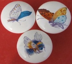 Cabinet Knob 3 Pretty Insects