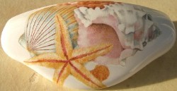 Drawer Pull Sea Shell available at mariansceramics.com