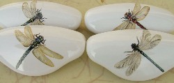 Cabinet drawer pulls dragonflys dragonflies