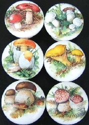 Cabinet knobs Mushrooms