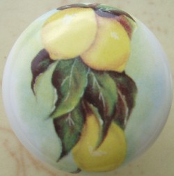 Cabinet Knobs Lemons