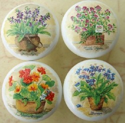 Cabinet knobs w/4 Herbs