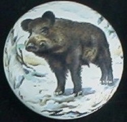 CERAMIC CABINET KNOB KNOBS  WILD BOAR PIG SWINE
