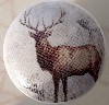 Cabinet Knob Wildlife elk