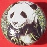 CERAMIC CABINET KNOB KNOBS  WILDLIFE PANDA BEAR