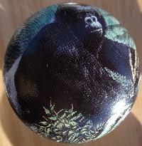 CERAMIC CABINET KNOB KNOBS  WILDLIFE SILVERBACK GORRILLA