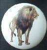CERAMIC CABINET KNOB WILDLIFE LION