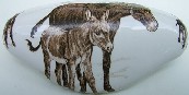 Drawer Pull Donkey Family