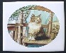 Ceramic Tile Calico Cat