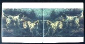 English Setters Ceramic Tile Mural