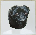Black Pug Ceramic Tile