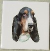 Ceramic Tile Bassets
