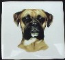 Ceramic Tile Boxer