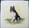 Ceramic Tile Border Collie