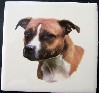 Ceramic Tile American Staffordshire