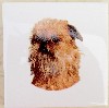 Ceramic Tile Brussells Griffon