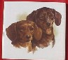 Ceramic Tile 2 Dachshunds