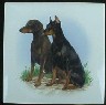Doberman Ceramic Tile