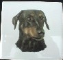 Doberman Ceramic Tile