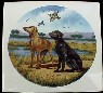 Saluki Ceramic Tile