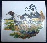 Ceramic Tile German Short Hair Pointer
