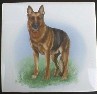 German Shepherd Dog Ceramic Tile