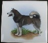 Husky #2 Ceramic Tile