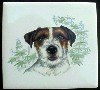 Jack Russell Terrier Ceramic Tile