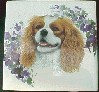 King Charles Spaniel Ceramic Tile