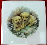 Yellow Labrador Ceramic Tile