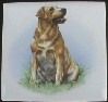 Yellow Labrador Ceramic Tile