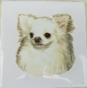 Ceramic Tile Long Hair Chihuahua
