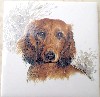 Ceramic Tile Dachshunds