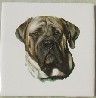 Bull Mastif Ceramic Tile