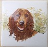 Irish Setter Ceramic Tile