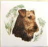 Ceramic Tile Airedale