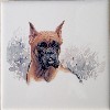 Ceramic Tile Boxer