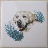 Yellow Labrador Ceramic Tile