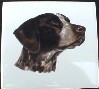 Ceramic Tile German Short Hair Pointer