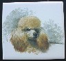 Apricot Poodle Ceramic Tile