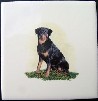 Rottwieler Ceramic Tile