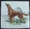 Irish Setter Ceramic Tile