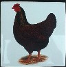 Ceramic Tile Chickens Hen