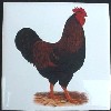 Ceramic Tile Chickens Rooster
