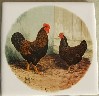Ceramic Tile Chickens barneveldor