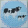 Ceramic Tile cow holstein