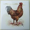 Ceramic Tile Rhode Island Red