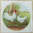 Ceramic Tile White Leghorns